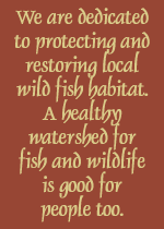 Mission: We are dedicated to protecting and restoring local wild fish habitat.
